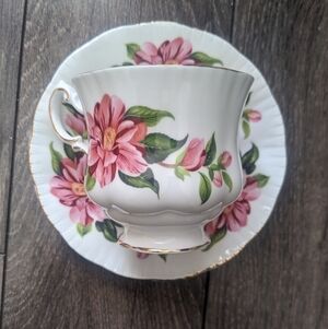 Paragon Camelia Tricolor Bone China Teacup and Saucer Set